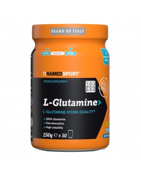 L-GLUTAMINE 250GR N/F NAMEDSPORT